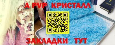 мяу мяу мука Баксан
