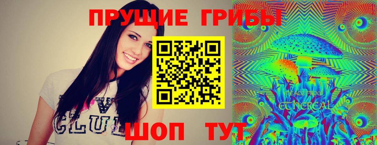 Гусиноозёрск  Псилоцибиновые грибы мицелий  Вход с VPN 